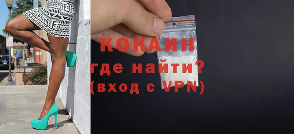 молекула духа Осташков