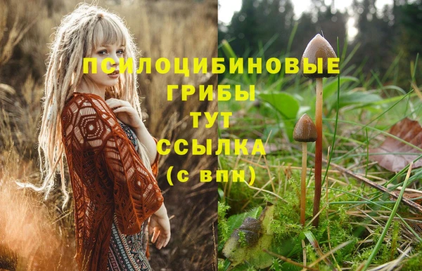 соль курить ск Богородицк
