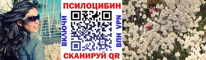 закладки  Железногорск-Илимский  Псилоцибиновые грибы GOLDEN TEACHER 
